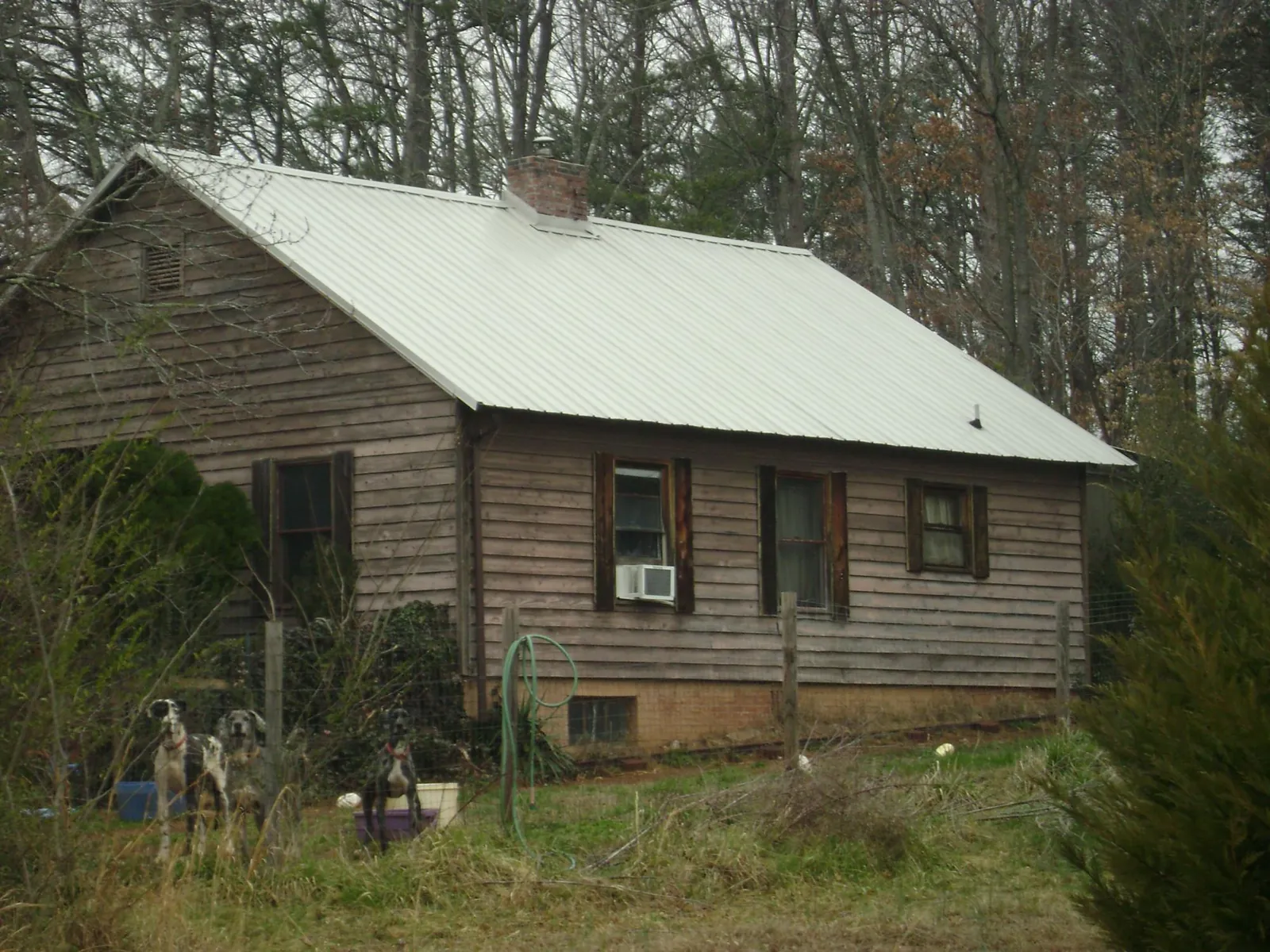 White metal roof on an old wood sided farmhouse, from a Asphalt Shingle Roof Repair job in South Heart